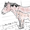 Liinus