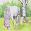 Lenita