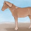 Liinus