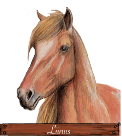 liinus
